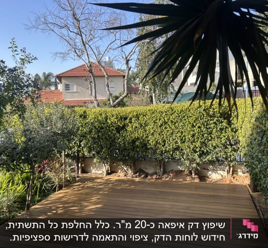 דק עץ בגינה עם צמחייה מסביב ועצים ברקע